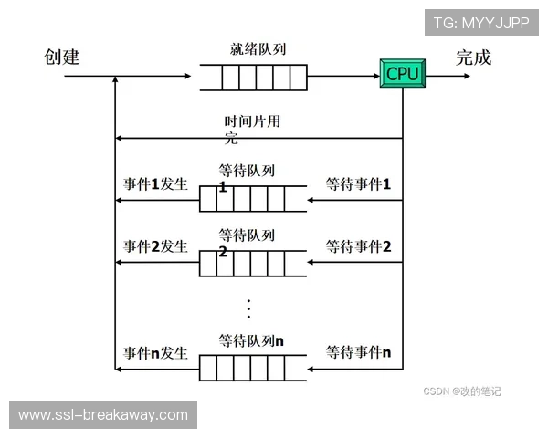 动态互动剧本系统引入，用户观赛参与感增强