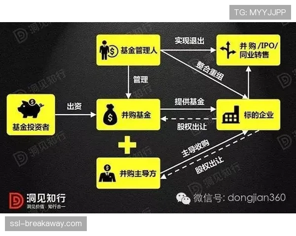 深度背景：美国基金收购意甲俱乐部股份潮背后的财务动机